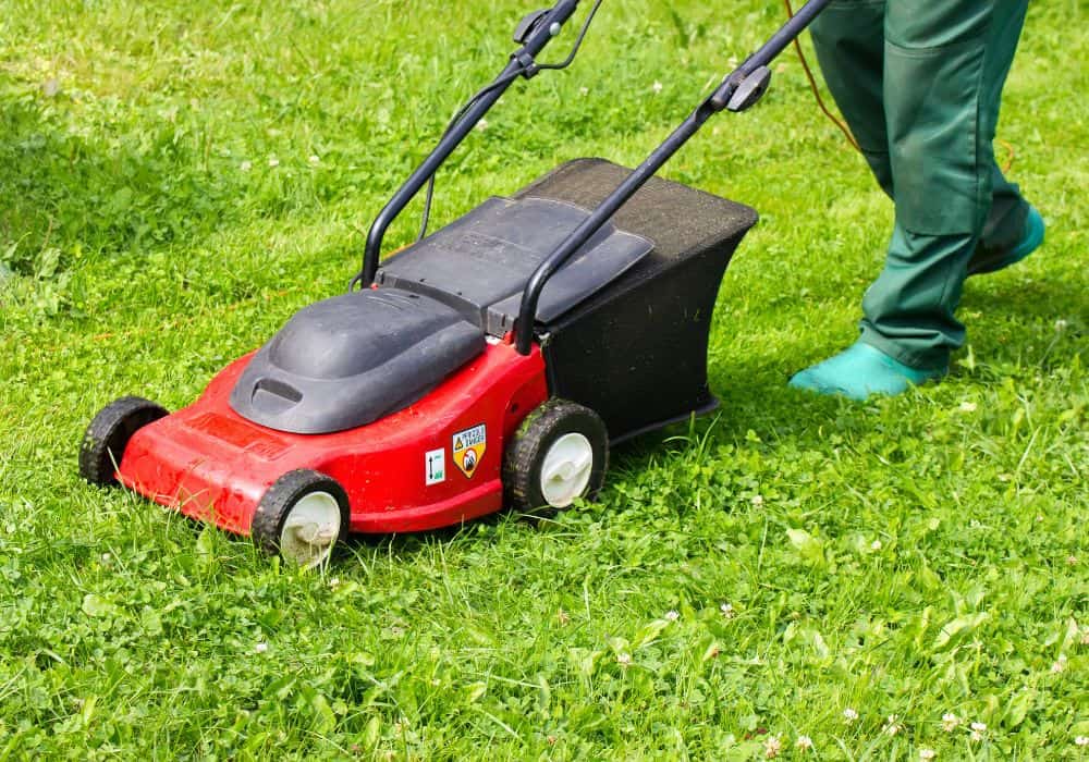 How to Charge a Lawn Mower in 7 Simple Steps