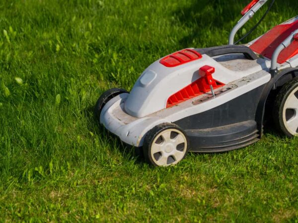 Do Lawn Mowers Have A Charging System? (How To Charge)