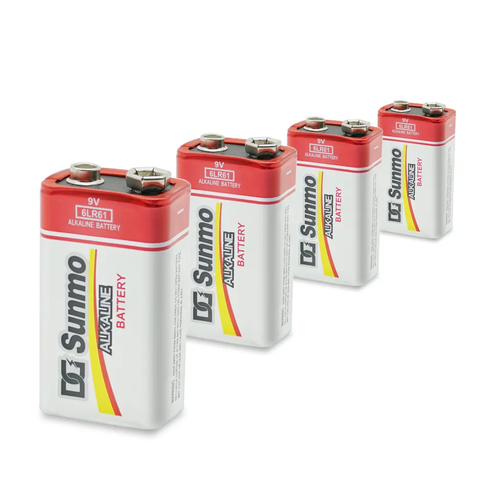 Replaceable Alkaline Batteries